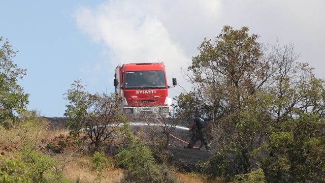 Tekirdağ'da anızda başlayıp ormana sıçrayan yangına müdahale ediliyor
