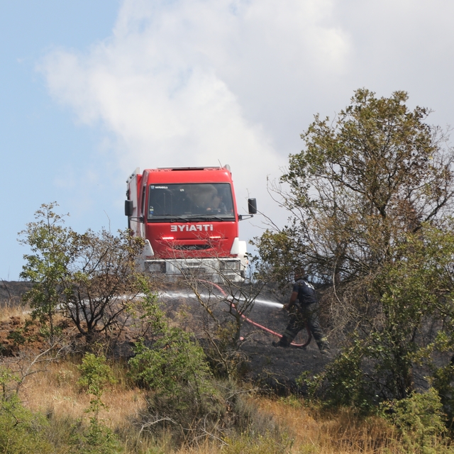 Tekirdağ'da anızda başlayıp ormana sıçrayan yangına müdahale ediliyor