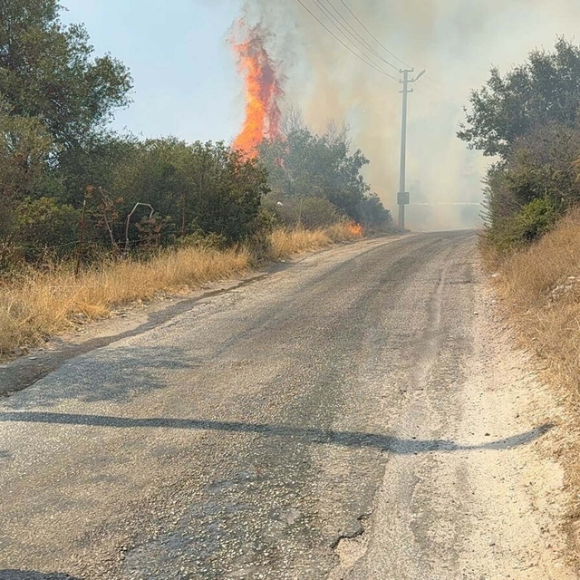 Bodrum'da maki yangını