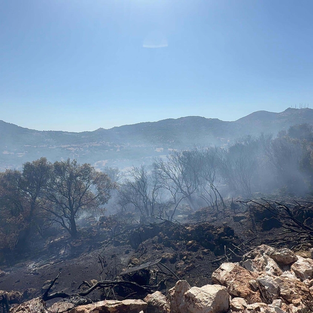 Bodrum'da maki yangını (2)