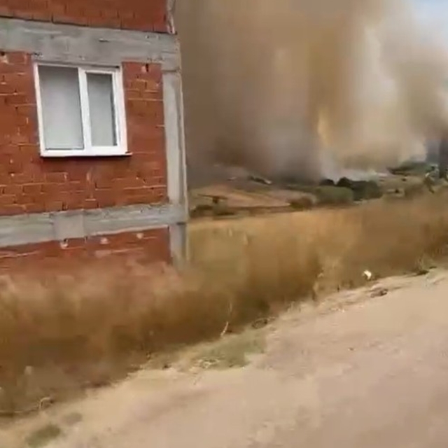 Bursa'da orman yangını (2)