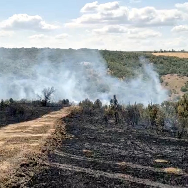 Tekirdağ'da çıkan orman yangını, 1 saatte kontrol altına alındı