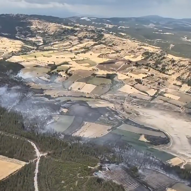 Bursa'da orman yangını (3)