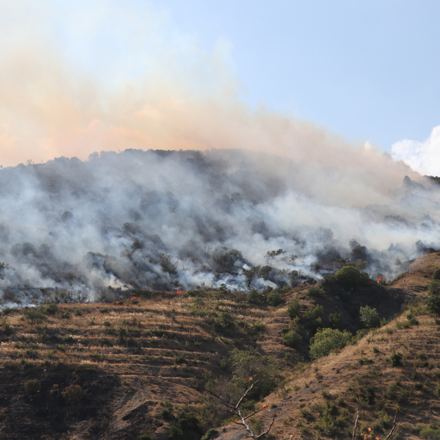 Tekirdağ'ın Şarköy ilçesinde çıkan orman yangınına müdahale ediliyor