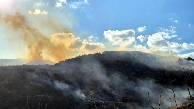 Tekirdağ'da makilik yangını, ormana sıçramadan söndürüldü (2)