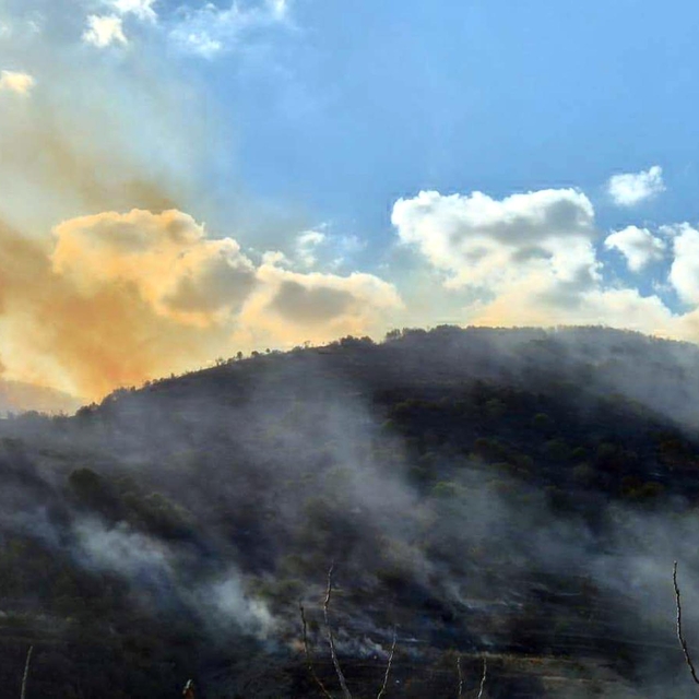 Tekirdağ'da makilik yangını, ormana sıçramadan söndürüldü (2)