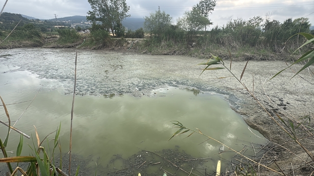 Bolu'da balık ölümlerinin yaşandığı gölette inceleme yapıldı