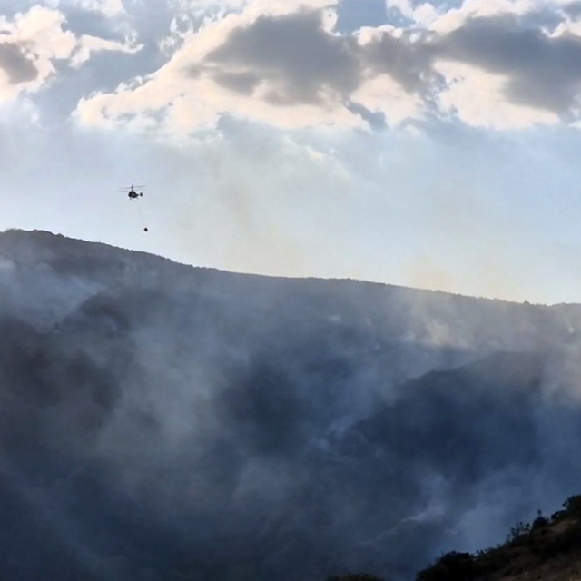 Tekirdağ'da makilik yangını, ormana sıçramadan söndürüldü (3)