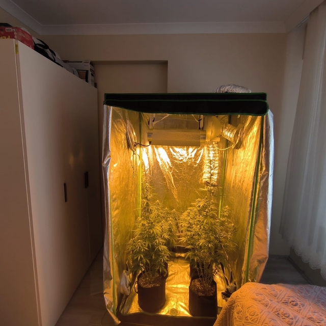 Tunceli'de uyuşturucu operasyonunda 14 şüpheli yakalandı