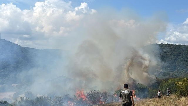 Kırklareli'nde çıkan orman yangını söndürüldü