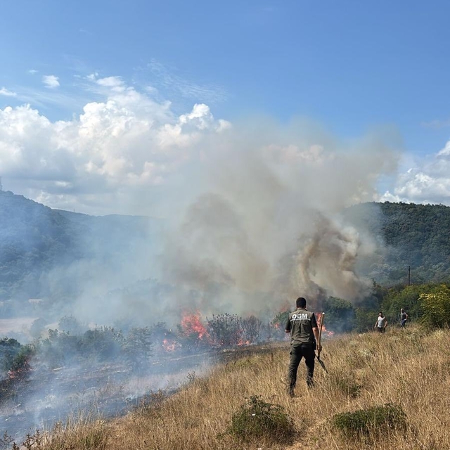Kırklareli'nde çıkan orman yangını söndürüldü