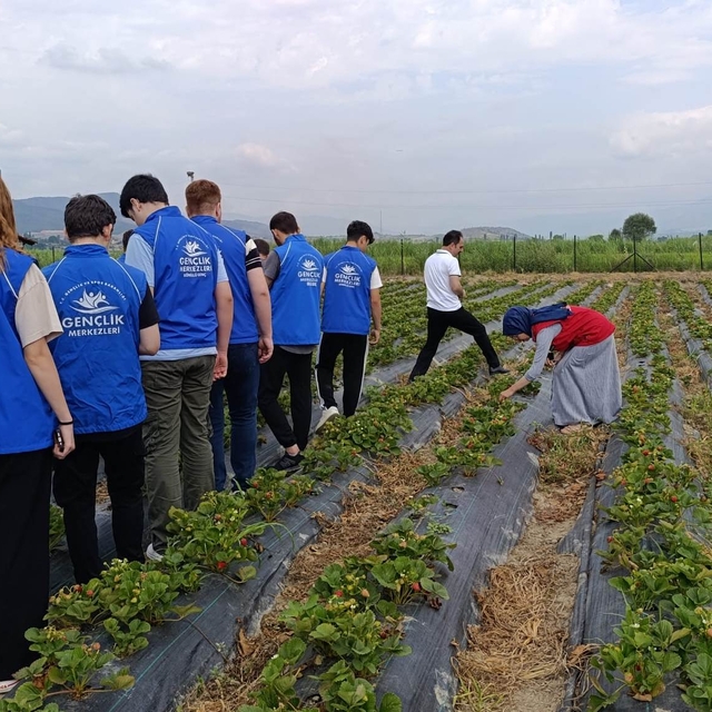 Boyabatlı gençler tarımsal üretim hakkında bilgilendirildi