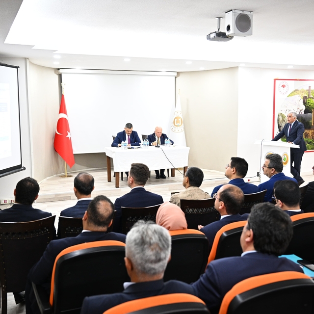 Erzurum'da kırsaldaki çoban köpekleri mikroçip takılarak sahiplendirilecek