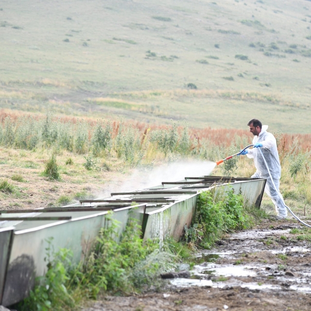 Ardahan Valisi Hayrettin Çiçek, şap hastalığı bilgilendirme ve dezenfeksiyo...