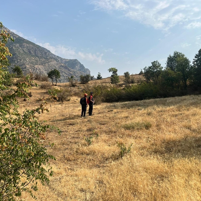 Siirt'te kaybolan zihinsel engelli kişiyi bulmak için arama çalışması başla...