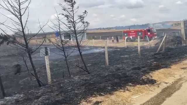 Tekirdağ'da çıkan anız yangını söndürüldü