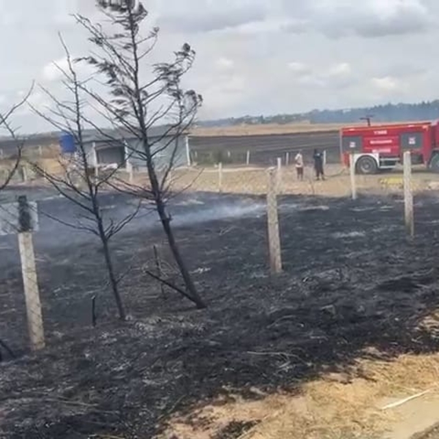 Tekirdağ'da çıkan anız yangını söndürüldü