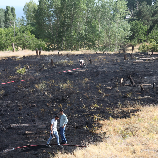 Bitlis'te mezarlıkta çıkan yangın söndürüldü