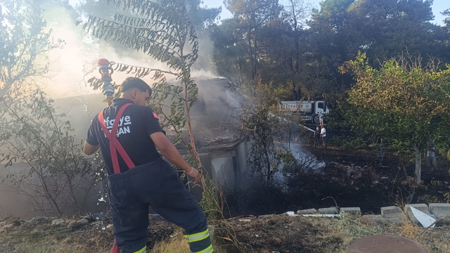 Edirne'de çıkan orman yangını kontrol altına alındı