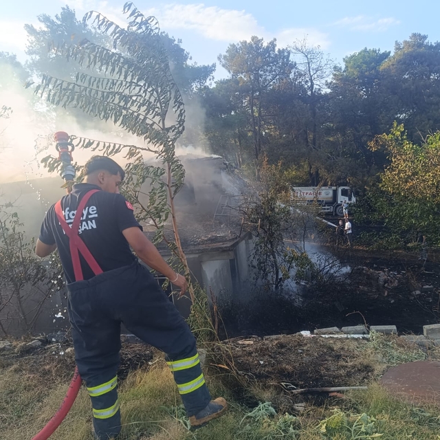 Edirne'de çıkan orman yangını kontrol altına alındı