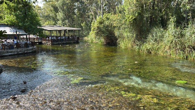 Galeri