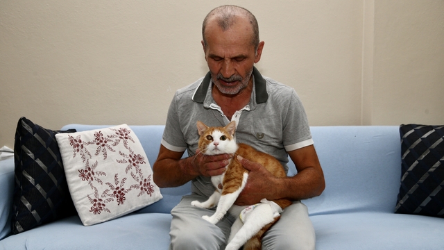 Yaşama tutunmalarını sağladığı kedilerin bakımını aksatmıyor