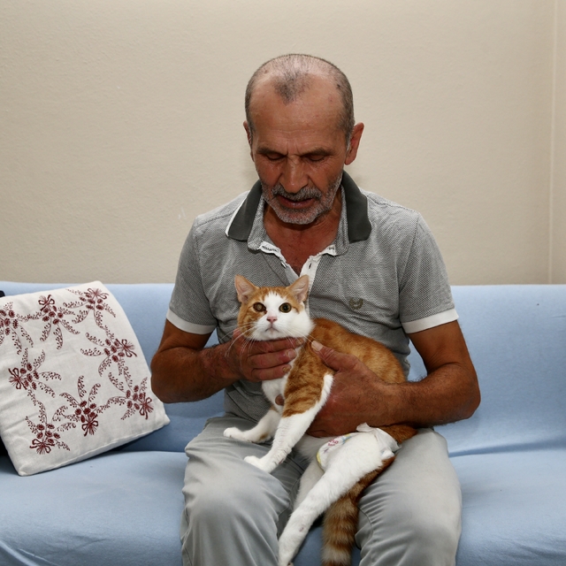 Yaşama tutunmalarını sağladığı kedilerin bakımını aksatmıyor