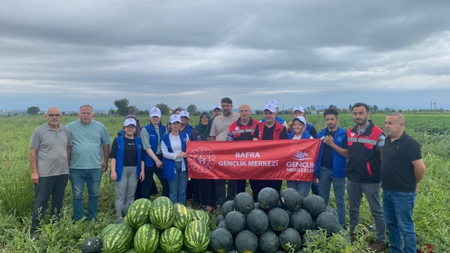 Samsun'da genç gönüllüler tarlada karpuz hasadına destek verdi