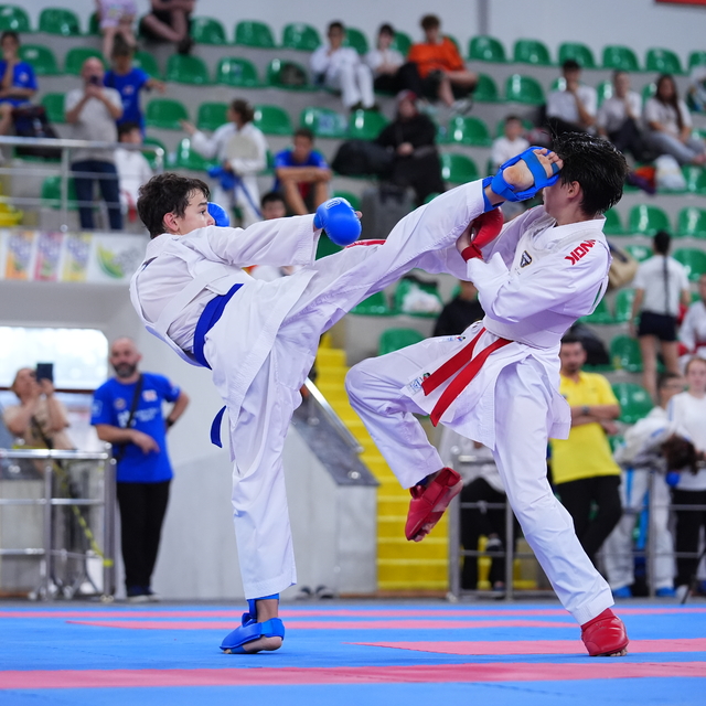 Karadeniz ve Hazar Ülkeleri Karate Şampiyonası, sona erdi