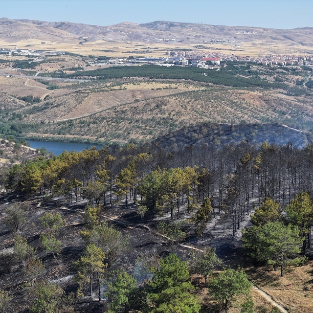 Prof. Dr. Kavgacı: Yangın söndükten sonra kök yanması devam edebilir