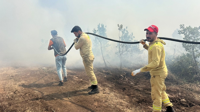 Şırnak'taki örtü yangını kontrol altında (3)