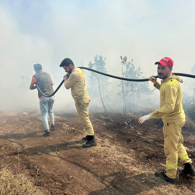 Şırnak'taki örtü yangını kontrol altında (3)