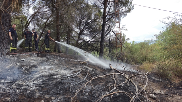 Kocaeli'de ağaçlık alanda çıkan yangın söndürüldü