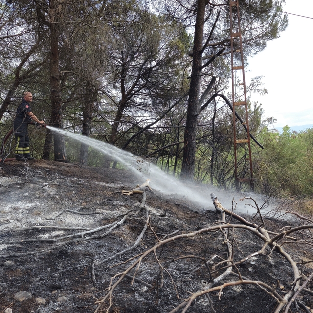 Kocaeli'de ağaçlık alanda çıkan yangın söndürüldü
