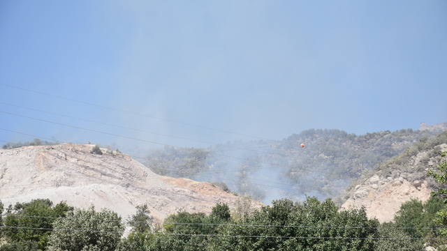 GÜNCELLEME - Şırnak'ta orman ve örtü yangını kontrol altına alındı