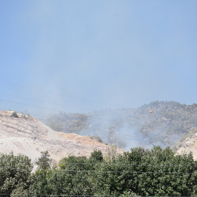 GÜNCELLEME - Şırnak'ta orman ve örtü yangını kontrol altına alındı