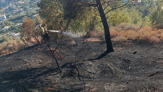 Hatay'daki orman yangını söndürüldü