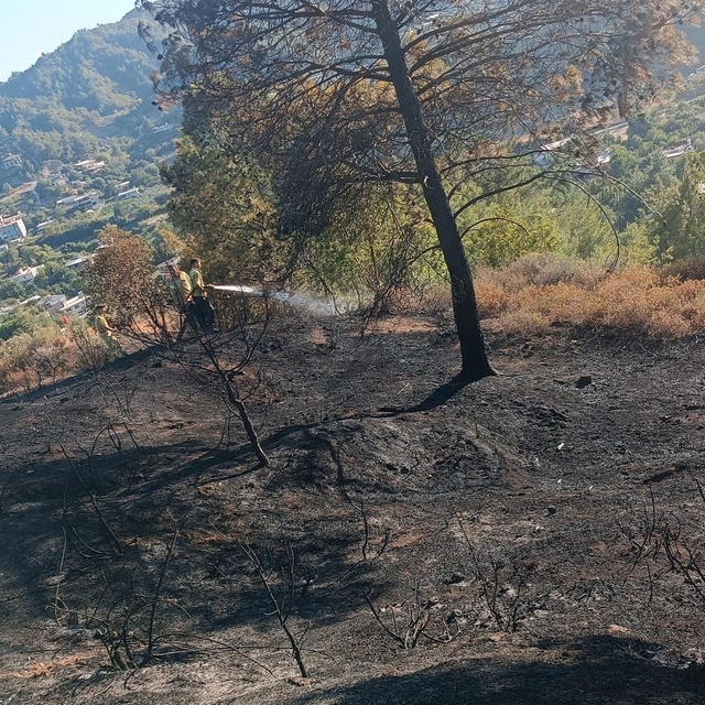 Hatay'daki orman yangını söndürüldü