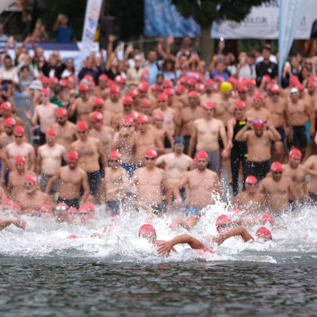 Kocaeli'deki Açık Su Yüzme Yarışları'nda sporcular İzmit Körfezi'ni yüzerek...