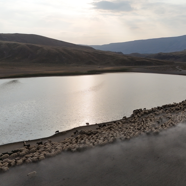 Bitlis'te göçerlerin zorlu yayla hayatı
