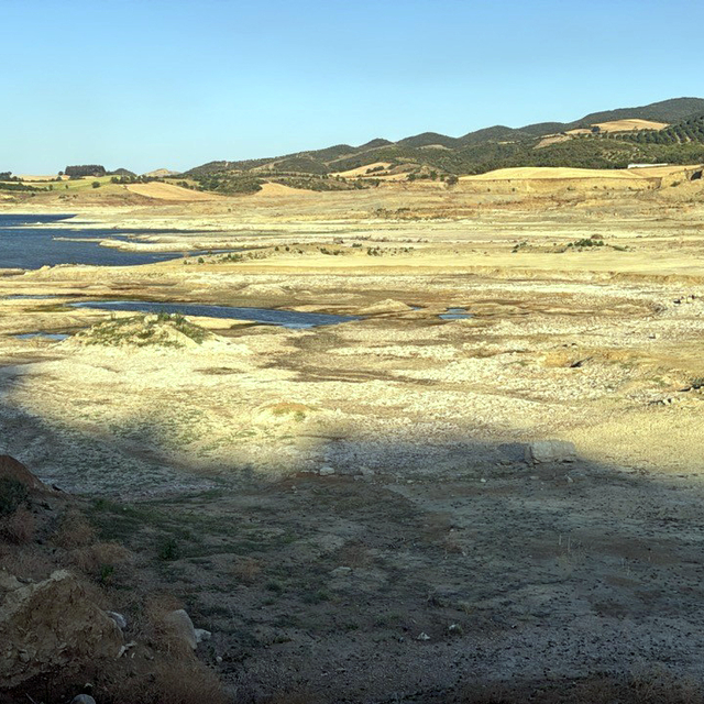 Prof. Dr. Tecer: Etkin su yönetimi yapılmazsa kuraklık göçü yaşayacağız
