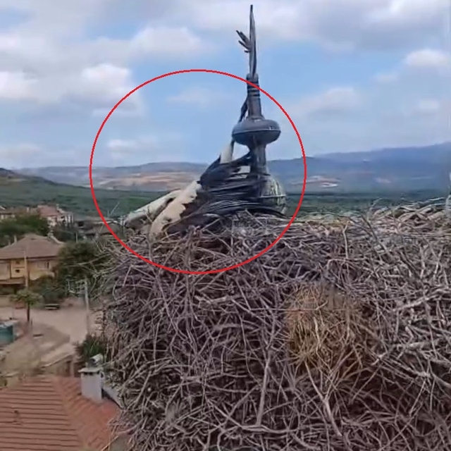 Cami kubbesinde ayağı aleme sıkışan leyleği kurtarma anları kask kamerasınd...