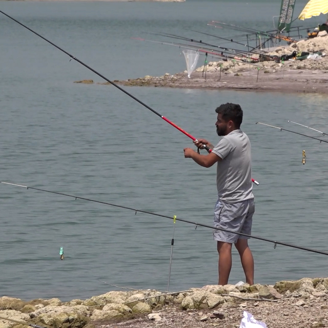 Sındırgı'da amatör balık tutma yarışması düzenlendi