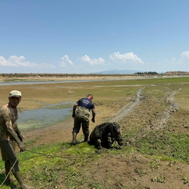 Bataklığa saplanan 2 katır ile sahibini itfaiye ve jandarma kurtardı