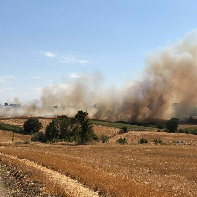 Çanakkale'de tarım arazisinde yangın