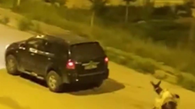 Eşeği otomobilin arkasına bağlayıp sürükleyerek götürenlere ceza