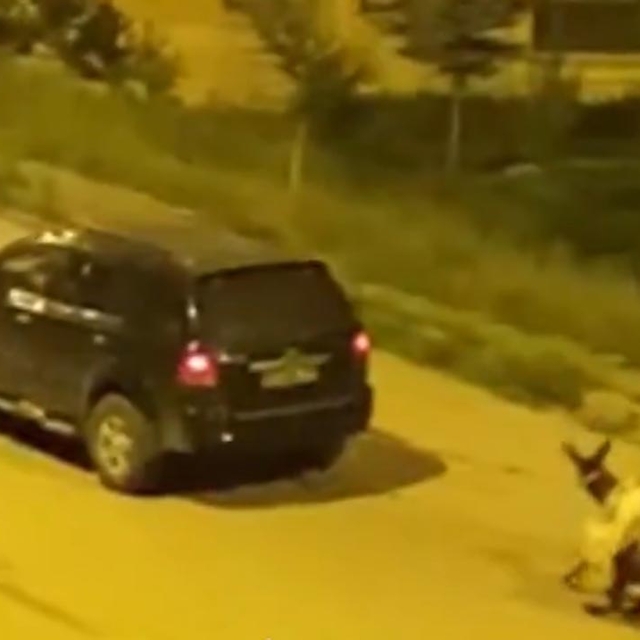 Eşeği otomobilin arkasına bağlayıp sürükleyerek götürenlere ceza