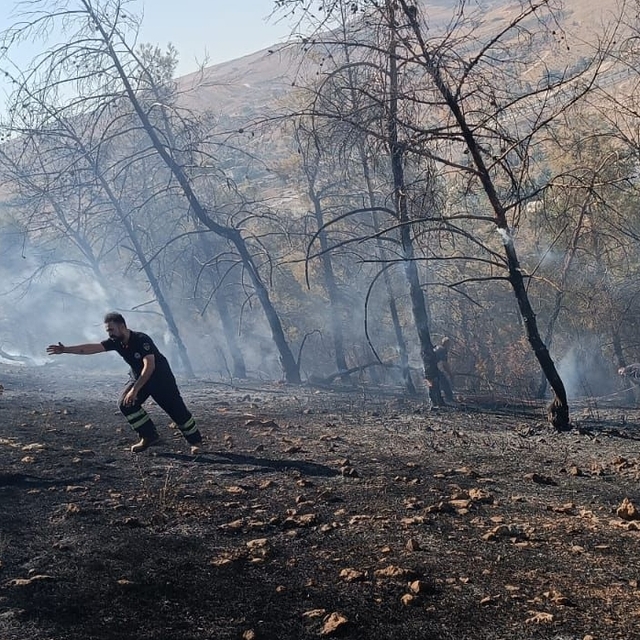 Şanlıurfa'da çıkan orman yangını söndürüldü