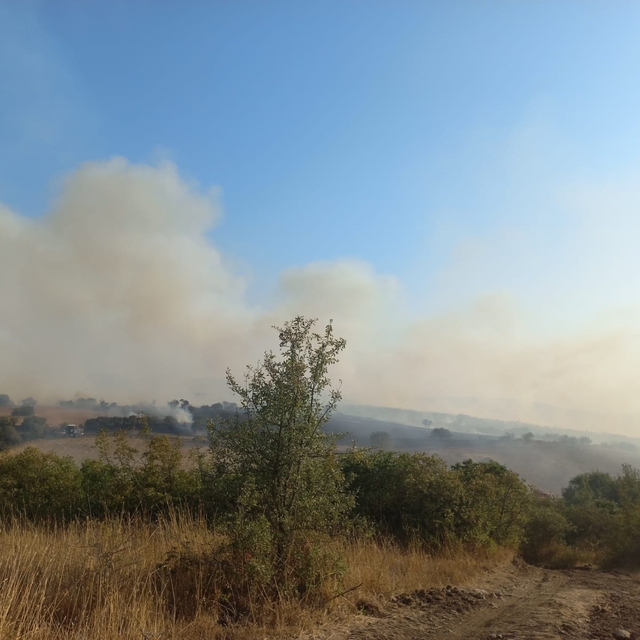 Balıkesir'de tarım arazisinde yangın