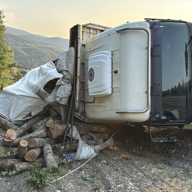 Karabük'te devrilen kamyonun sürücüsü yaralandı